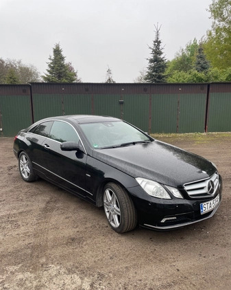 Mercedes-Benz Klasa E cena 51500 przebieg: 234401, rok produkcji 2009 z Zawidów małe 781